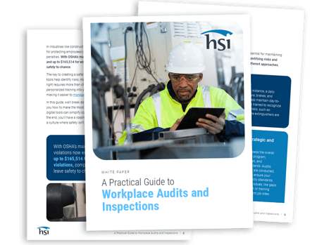 EHS - audits and inspections