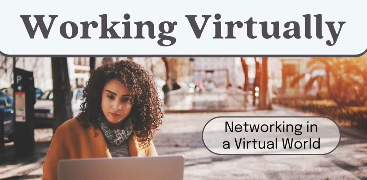 Networking in a Virtual World