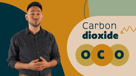 pic_carbon dioxide safety