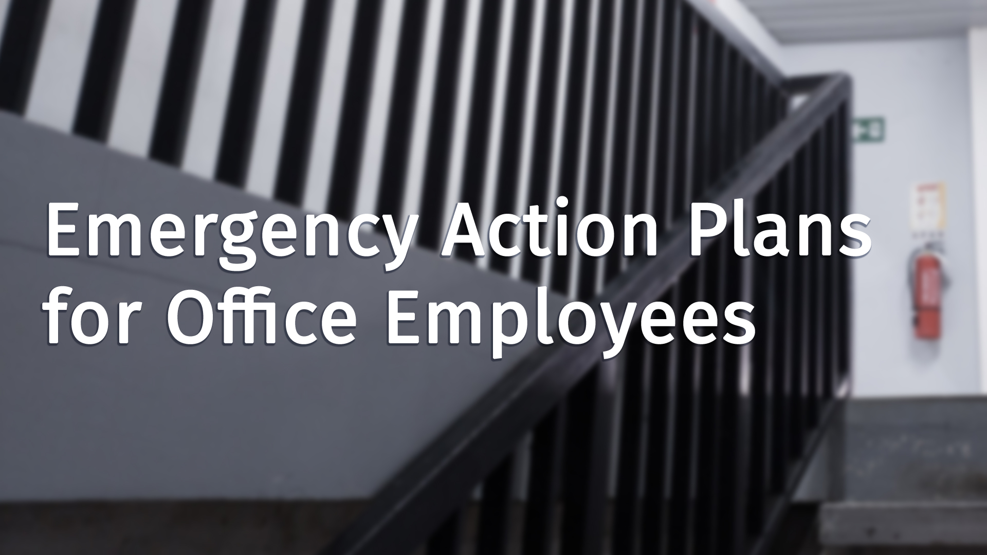 8cae5523-d3d9-42dd-8d1a-ce9527ad92e6